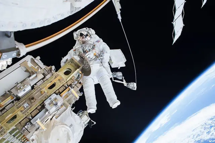  Semillas de vid listos para su viaje de seis meses a la Estación Espacial Internacional. Semillas de vid listos para su viaje de seis meses a la Estación Espacial Internacional. 