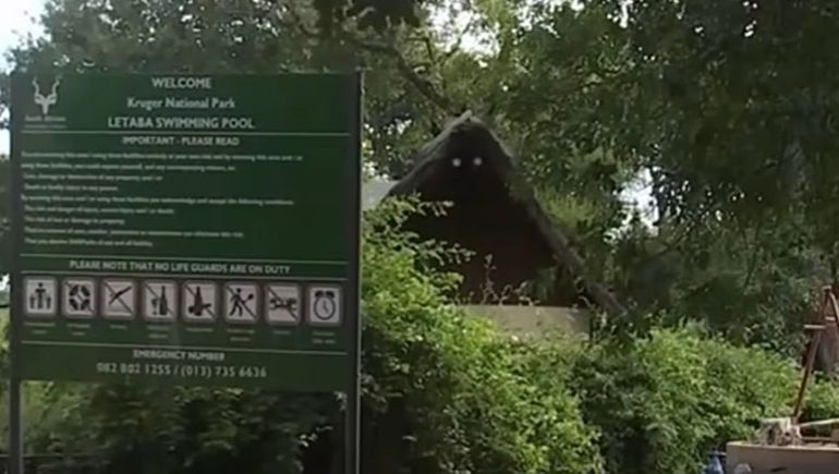 Doble asesinato en un safari de Sudáfrica: les robaron y los tiraron a un río con cocodrilos.