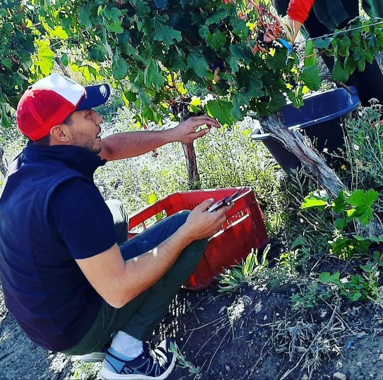 Mito: El vino que une a un trabajador del petróleo y la tierra patagónica