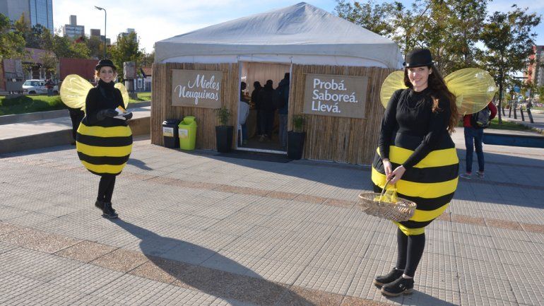 Una globa en el centro ofrece degustación de mieles de la provincia