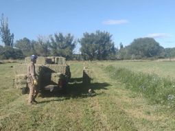 productores de picun leufu reclaman soluciones urgentes para el riego productores de picun leufu reclaman soluciones urgentes para el riego