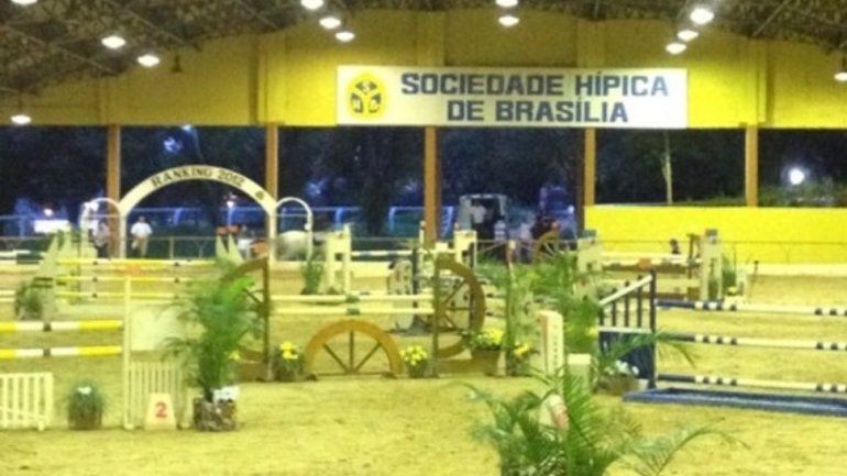 Indignación por actividad escolar que incluyó pintar un caballo