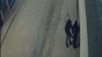 video: la siguio por la calle y cuando entraba a su casa, se le tiro encima y la toco