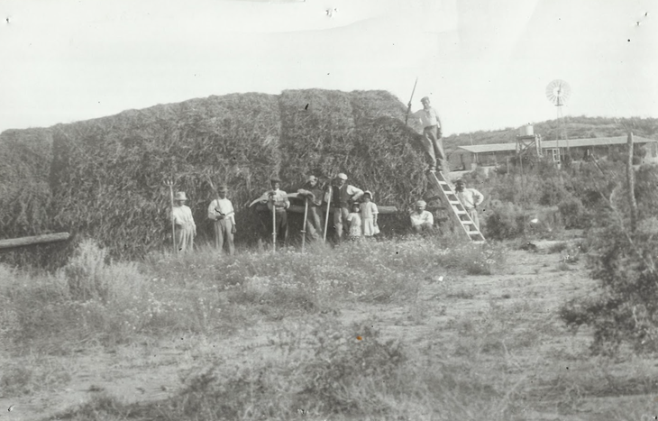 Los primeros años de agricultura en nuestra región. Foto: Archivo Cabus Trenes. Los primeros años de agricultura en nuestra región. Foto: Archivo Cabus Trenes.