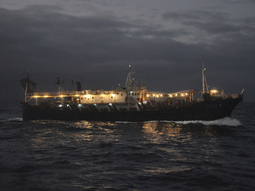 Buque jigger chino iluminado capturando calamar en alta mar durante la noche. Buque jigger chino iluminado capturando calamar en alta mar durante la noche.