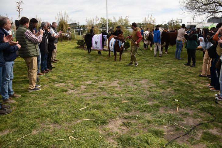 A la hora del remate, la oferta estuvo un poco “remolona”. Foto: Federación de Sociedades Rurales de Río Negro. A la hora del remate, la oferta estuvo un poco “remolona”. Foto: Federación de Sociedades Rurales de Río Negro.