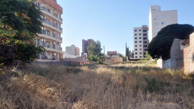 La presencia de plagas