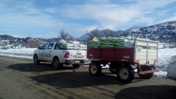 financiaron la compra de forrajes para productores de pulmari financiaron la compra de forrajes para productores de pulmari