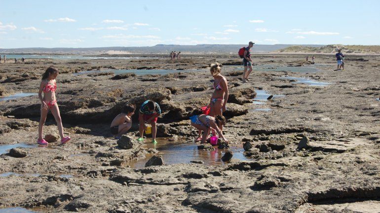 Niños exploradores en la restinga de Las Grutas.