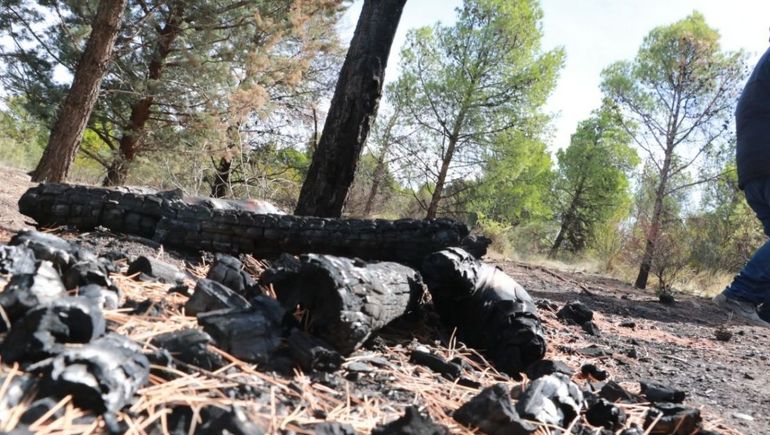 Atrapan a un adolescente cuando intentaba prender fuego en Parque Norte