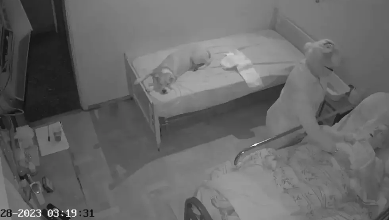 Enfermera le robó un anillo a la abuela que cuidaba y culpó al perro