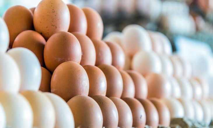 Los productores que se automatizaron han crecido mucho, porque incorporaron tecnología, son más eficientes, aseguró el ejecutivo. Los productores que se automatizaron han crecido mucho, porque incorporaron tecnología, son más eficientes, aseguró el ejecutivo.