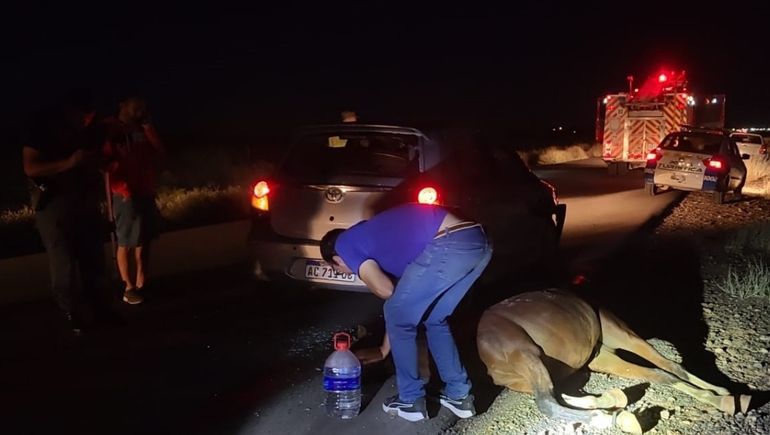 Gentileza Centenario Digital Gentileza Centenario Digital