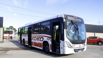 Los colectivos de KoKo ya salieron de la base en Cipolletti. Foto: Anahí Cárdena. Los colectivos de KoKo ya salieron de la base en Cipolletti. Foto: Anahí Cárdena.