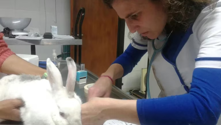 Quién era la mujer que murió en pleno vuelo entre Barcelona y Ezeiza