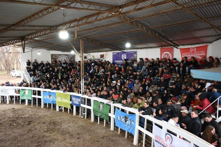 Una gran expectativa generaron las ventas de hacienda por la calidad que presentaba. Una gran expectativa generaron las ventas de hacienda por la calidad que presentaba.