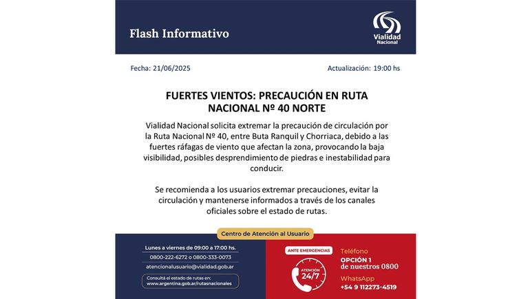 Cortes de rutas, caída de árboles y viento blanco por el fuerte temporal en Neuquén