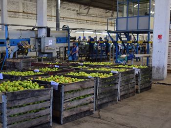 Río Negro lanza un programa gratuito para ayudar a las pymes a reducir su consumo de electricidad. Río Negro lanza un programa gratuito para ayudar a las pymes a reducir su consumo de electricidad.