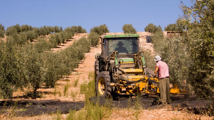 Caso Portillo: de €100 a €1.900/ha por arrendar a fotovoltaicas. Caso Portillo: de €100 a €1.900/ha por arrendar a fotovoltaicas.