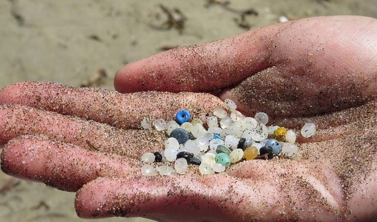 Microplasticos: en el Golfo Nuevo, además del PET, otro de los materiales con más presencia en el mar y la arena son las fibras textiles con pigmentos, porveniente de la ropa. Microplasticos: en el Golfo Nuevo, además del PET, otro de los materiales con más presencia en el mar y la arena son las fibras textiles con pigmentos, porveniente de la ropa.