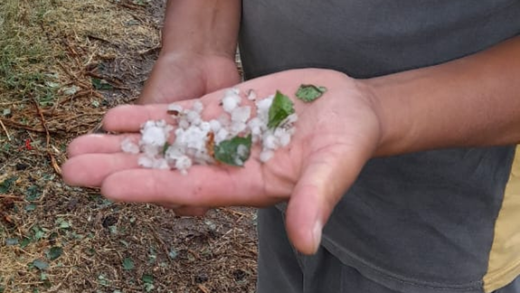 La tormenta llegó con fuerte granizo en la región: Arrasó con todo