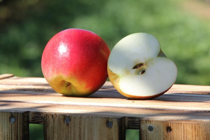 Esta variedad de manzana se reconocen por su típica coloración roja brillante. Esta variedad de manzana se reconocen por su típica coloración roja brillante.