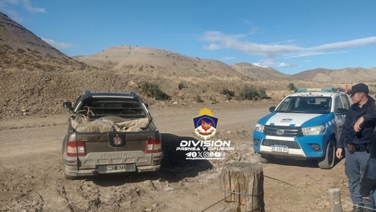 Los vecinos brindaron sus corrales para poner a resguardo a los chivos hasta que se los entregaran a su dueña. Los vecinos brindaron sus corrales para poner a resguardo a los chivos hasta que se los entregaran a su dueña.