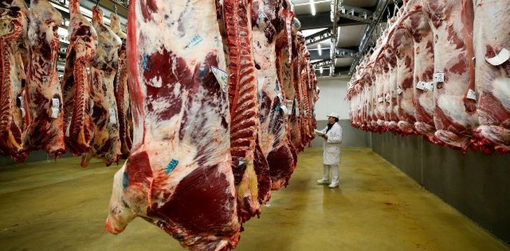 La brecha entre la invernada y el ganado para faena alcanzó niveles inusuales y comenzó a impactar sobre la rentabilidad del engorde, impulsando un ajuste en las cotizaciones. La brecha entre la invernada y el ganado para faena alcanzó niveles inusuales y comenzó a impactar sobre la rentabilidad del engorde, impulsando un ajuste en las cotizaciones.