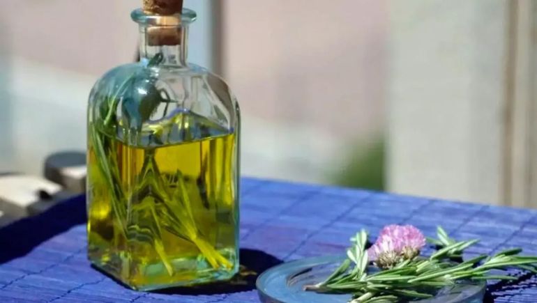 Llega agosto y llega la caña con ruda. Se toma el 1° de agosto