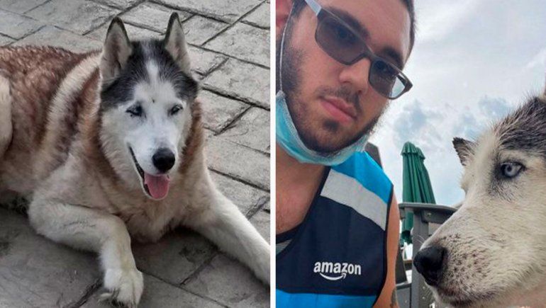 Viral: repartidor saltó a la pileta para salvar a un perro anciano.
