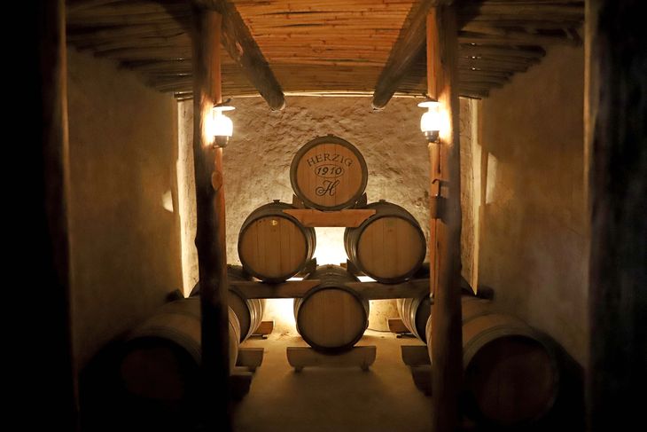 Ingeniería artesanal: Toneles de hasta 37 mil litros, ensamblados por antiguos toneleros de la zona, una profesión que hoy es parte del mito regional. Ingeniería artesanal: Toneles de hasta 37 mil litros, ensamblados por antiguos toneleros de la zona, una profesión que hoy es parte del mito regional.