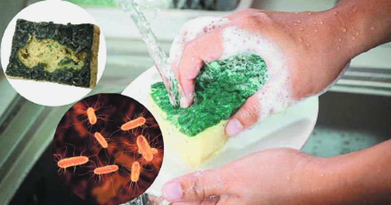 La esponja es un lugar propicio para que vivan y se multipliquen las bacterias. La esponja es un lugar propicio para que vivan y se multipliquen las bacterias.