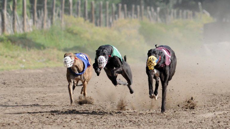 El fin de semana se hizo una carrera en Vista Alegre. Cuando llegó la Policía ya no había nadie. (Foto ilustrativa)
