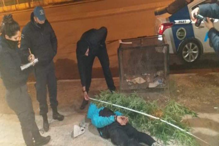 Intentó ocultarse en una garita con dos plantas gigantes de marihuana