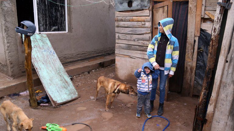 En las ocho manzanas del sector Peumayén