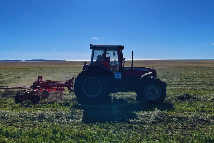 La ventana de siembra ideal es de fines de octubre a principios de noviembre. Foto: INTA. La ventana de siembra ideal es de fines de octubre a principios de noviembre. Foto: INTA.