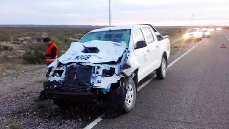 El frente de la camioneta quedó destruido tras el impacto contra uno de los animales que estaban sobre el asfalto.