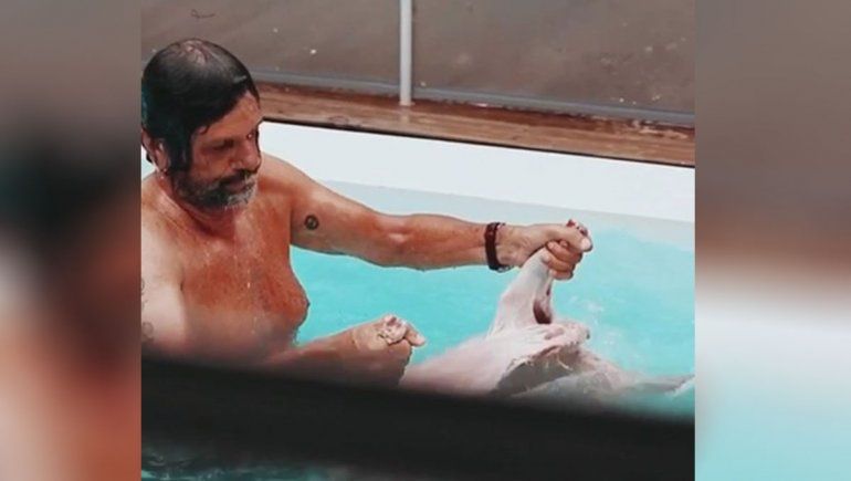 Se filtró otro video de cuando sacan al cordero de la pileta