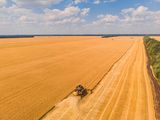 El sector agropecuario comparte protagonismo con complejos que antes tenían un peso mucho menor.