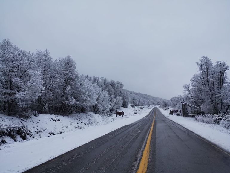Tránsito con precaución en el camino de los Siete Lagos. Tránsito con precaución en el camino de los Siete Lagos.