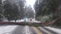ruta 40 bloqueda por un arbol, siete lagos complicada por nevada y el viento en zapala alcanza los 95 km/h