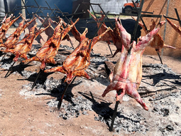 Chos Malal se prepara para vivir una nueva edición de la Fiesta Nacional del Chivito, la Danza y la Canción. Chos Malal se prepara para vivir una nueva edición de la Fiesta Nacional del Chivito, la Danza y la Canción.