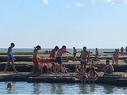 Los rescates se realizaron con ayuda de guardavidas y guardaambientales. Foto: Gentileza.