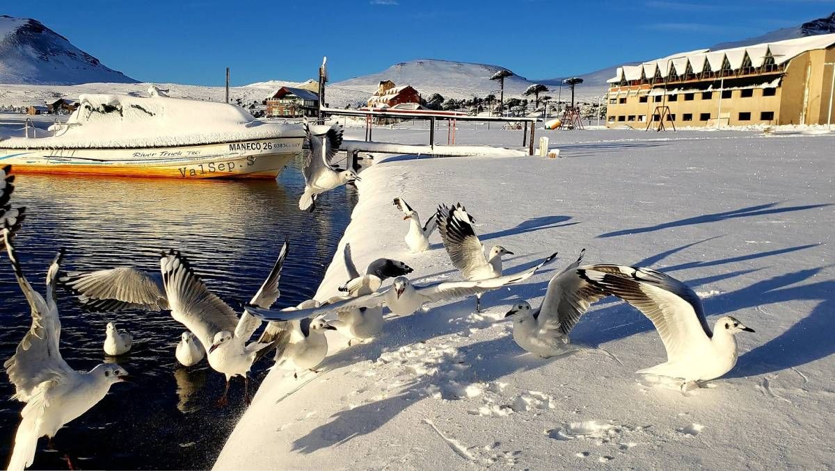 Neuquén se tiñó de blanco: las postales de la nieve este primero de mayo