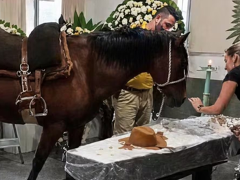 &nbsp;Nina y el tío Pedro: la historia detrás de la yegua que lloró a su dueño en Brasil y se volvió viral