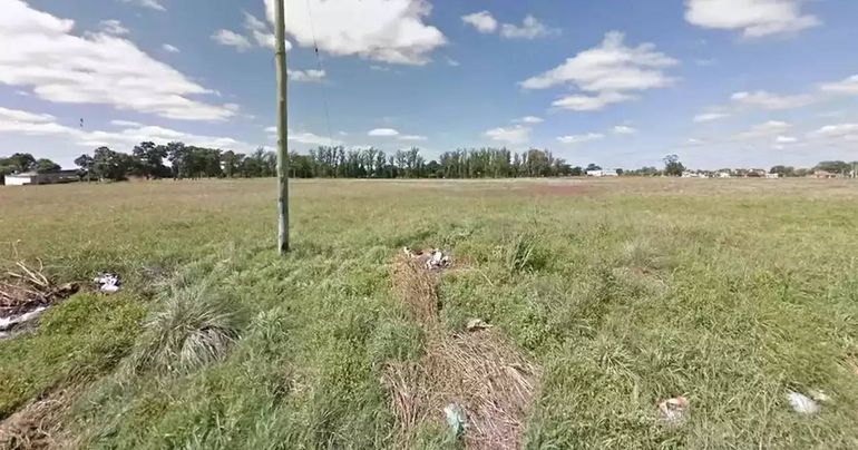 Macabro hallazgo: sacó a pasear a su perro y descubrió el cuerpo de un bebé