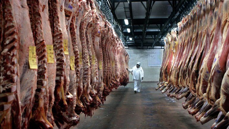 China aprobó el ingreso de todas las carnes del país