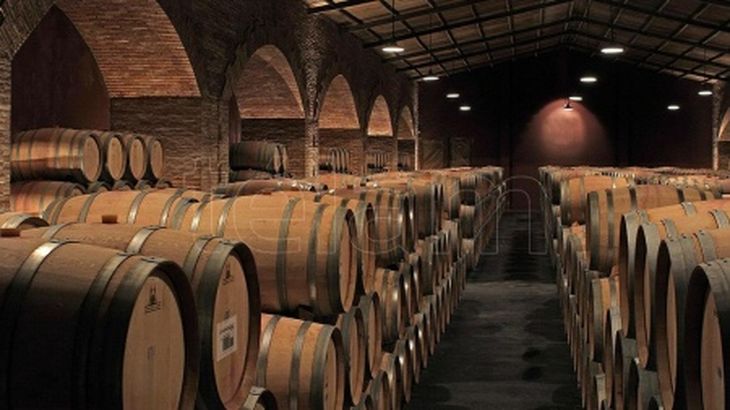 La producción nacional y mundial de vino cae a mínimos históricos, empujando a Chile a reemplazar viñas por cultivos más rentables. La producción nacional y mundial de vino cae a mínimos históricos, empujando a Chile a reemplazar viñas por cultivos más rentables.