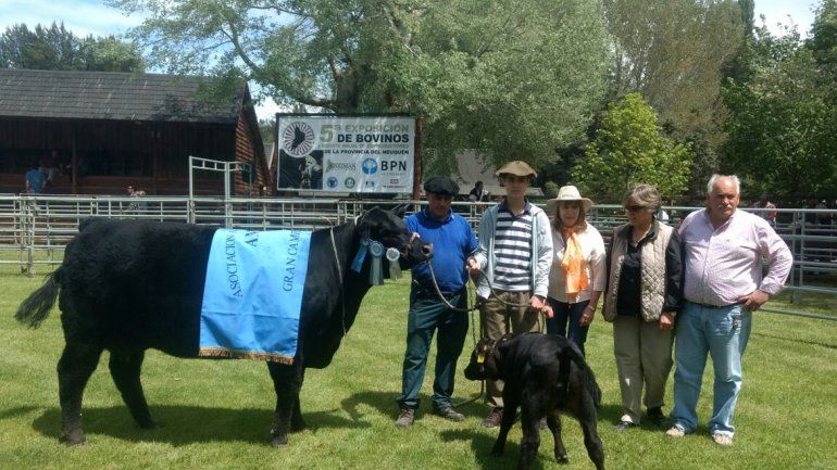 Un toro rionegrino, campeón de la quinta Expo Bovina de Neuquén