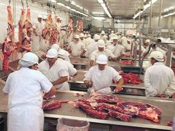 Las estadísticas del sector revelan escenarios opuestos en la Patagonia Norte: Neuquén profundiza la retracción de la actividad frigorífica, mientras Río Negro sostiene los volúmenes de faena pese a un contexto de desaceleración. Las estadísticas del sector revelan escenarios opuestos en la Patagonia Norte: Neuquén profundiza la retracción de la actividad frigorífica, mientras Río Negro sostiene los volúmenes de faena pese a un contexto de desaceleración.